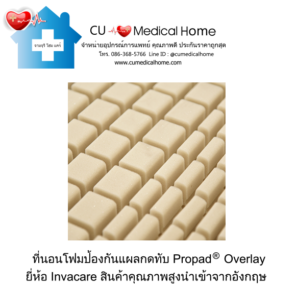เตียงผู้สูงอายุไฟฟ้า ดีไซน์ไม้ลักซ์ชัวรี่ ยี่ห้อ INVACARE CS8 Floorline Bed